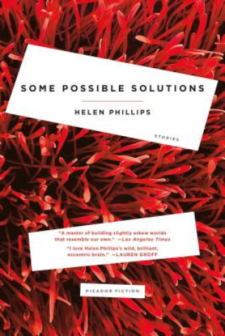 Buch Some Possible Solutions Helen Phillips