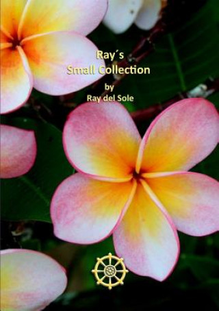 Kniha Ray's Small Collection Ray Del Sole