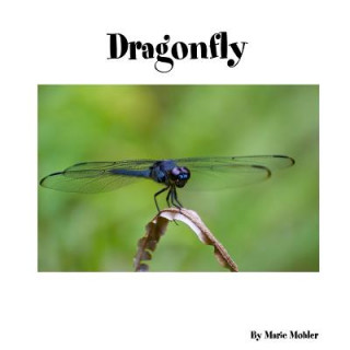 Knjiga Dragonfly Marie Mohler