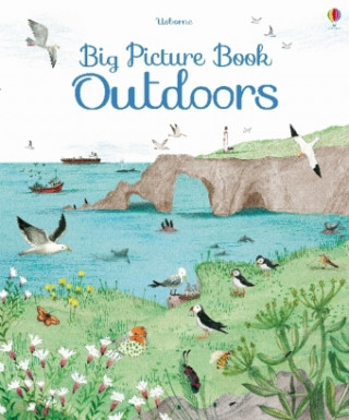 Könyv Big Picture Book Outdoors Minna Lacey