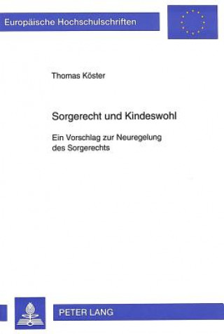 Kniha Sorgerecht und Kindeswohl Thomas Köster