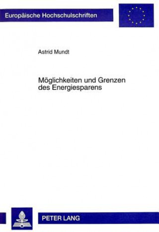 Könyv Moeglichkeiten und Grenzen des Energiesparens Astrid Mundt