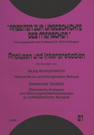 Knjiga Analysen und Interpretation Silke Morgenroth