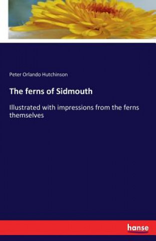 Książka ferns of Sidmouth Peter Orlando Hutchinson