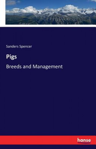 Kniha Pigs Sanders Spencer