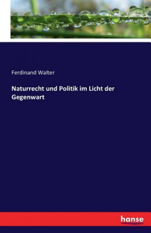 Könyv Naturrecht und Politik im Licht der Gegenwart Ferdinand Walter