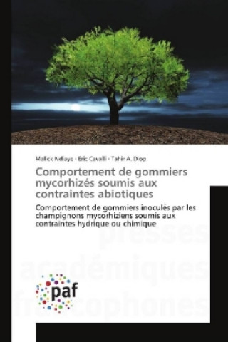 Kniha Comportement de gommiers mycorhizés soumis aux contraintes abiotiques Malick Ndiaye