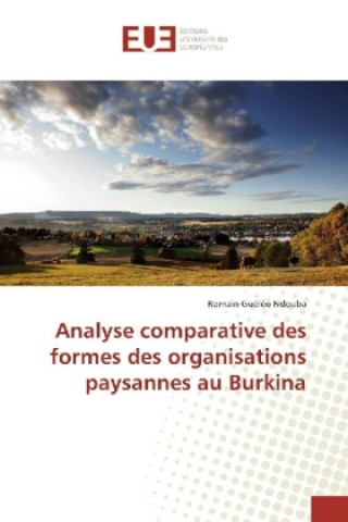 Carte Analyse comparative des formes des organisations paysannes au Burkina Romain Guéléo Ndouba