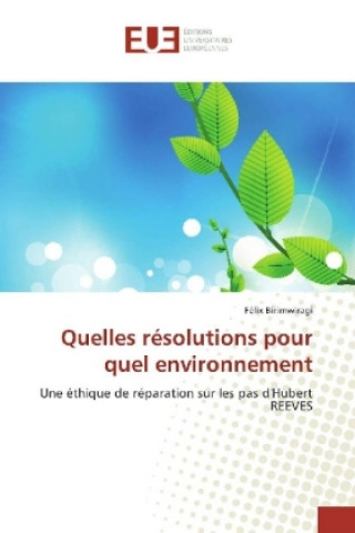 Kniha Quelles résolutions pour quel environnement Félix Birimwiragi