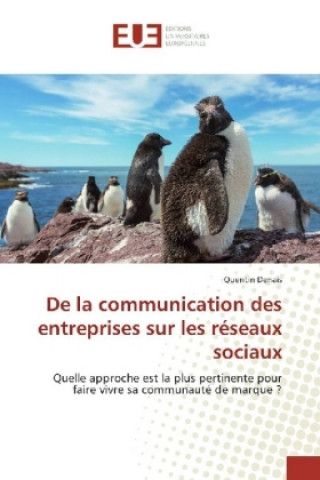 Könyv De la communication des entreprises sur les réseaux sociaux Quentin Denais