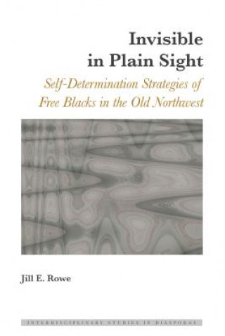 Book Invisible in Plain Sight Jill E. Rowe