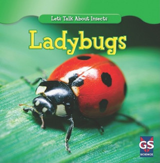 Knjiga Incredible Ladybugs Susan Ashley