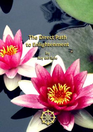 Knjiga Direct Path to Enlightenment Ray Del Sole