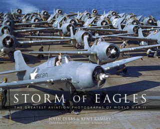 Book Storm of Eagles John Dibbs