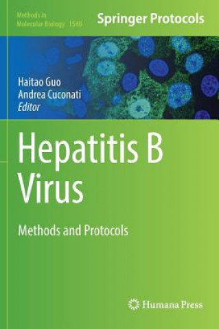 Könyv Hepatitis B Virus Haitao Guo