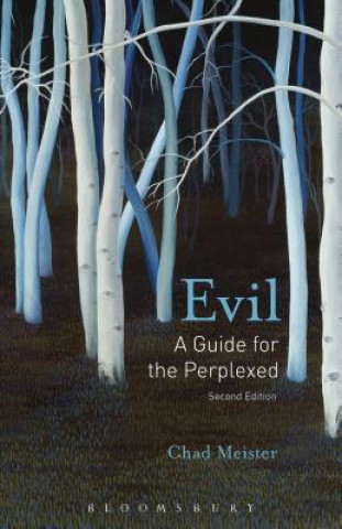 Kniha Evil: A Guide for the Perplexed Chad Meister
