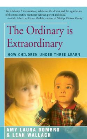 Knjiga Ordinary Is Extraordinary Amy Laura Dombro