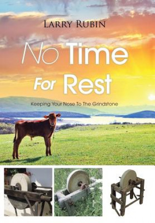 Libro No Time For Rest Larry Rubin