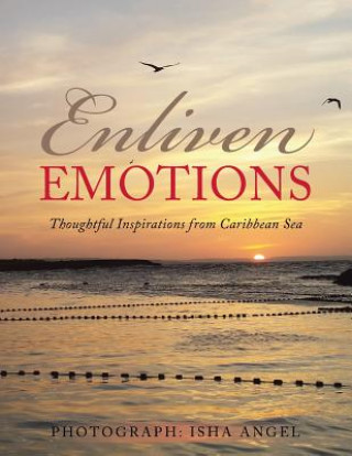 Kniha Enliven Emotions Asyla Holt