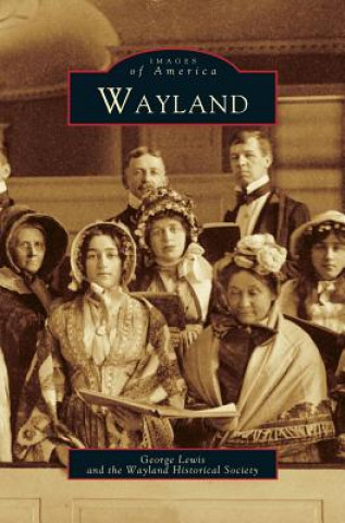 Книга Wayland George Lewis