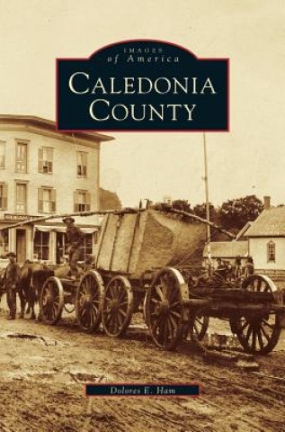 Knjiga Caledonia County Dolores E. Ham
