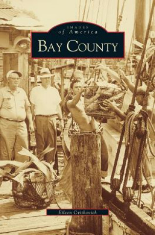 Könyv Bay County Eileen Cvitkovich