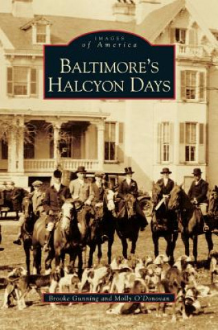 Kniha Baltimore's Halcyon Days Brooke Gunning