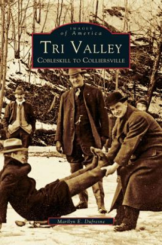 Kniha Tri Valley, Cobleskill to Colliersville Marilyn E. DuFresne