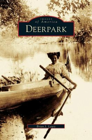Книга Deerpark Brian J. Lewis