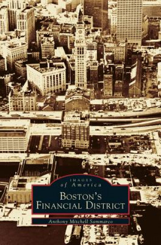 Könyv Boston's Financial District Anthony Mitchell Sammarco