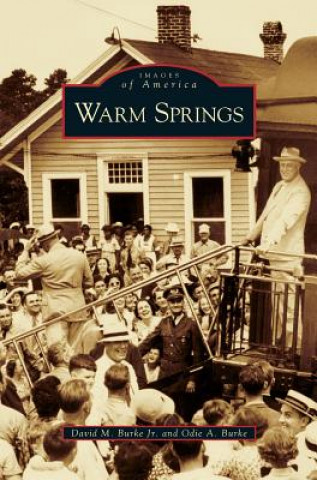 Book Warm Springs David M. Burke