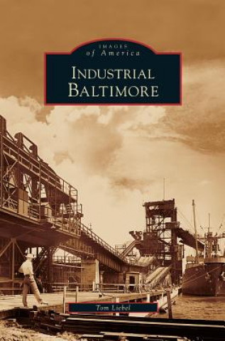 Buch Industrial Baltimore Tom Liebel