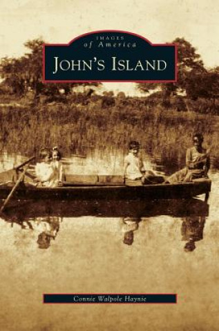 Kniha John's Island Connie Walpole Haynie