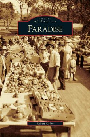 Boek Paradise Robert Colby