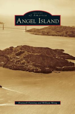 Kniha Angel Island Branwell Fanning