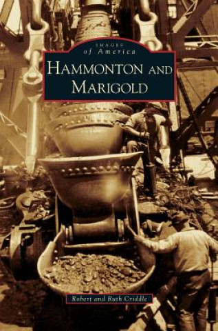 Livro Hammonton and Marigold Robert Criddle