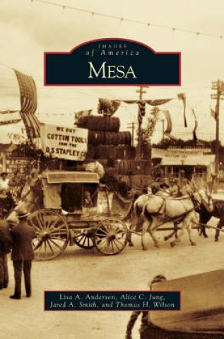 Book Mesa Lisa A. Anderson