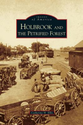 Knjiga Holbrook and the Petrified Forest Catherine H. Ellis