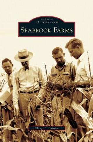 Kniha Seabrook Farms Cheryl L. Baisden