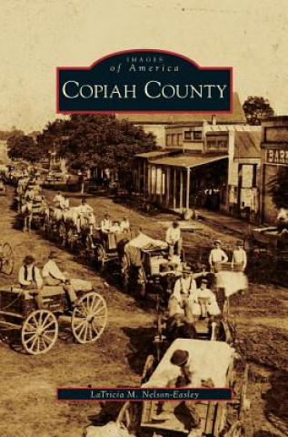 Knjiga Copiah County Latricia M. Nelson-Easley