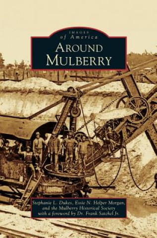 Kniha Around Mulberry Stephanie L. Dukes