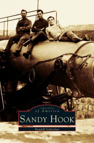 Book Sandy Hook Randall Gabrielan