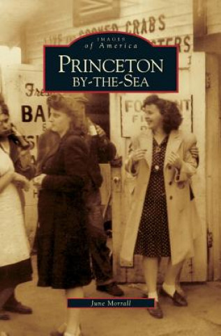 Knjiga Princeton-By-The-Sea June Morrall