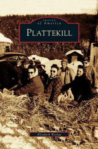 Carte Plattekill Elizabeth Werlau