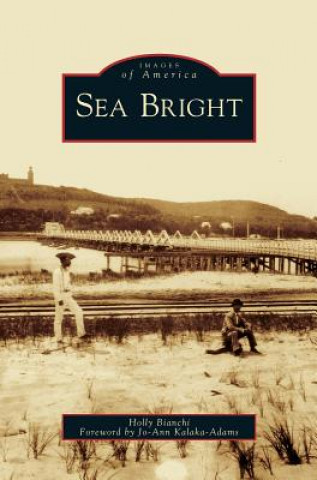 Livre Sea Bright Holly Bianchi