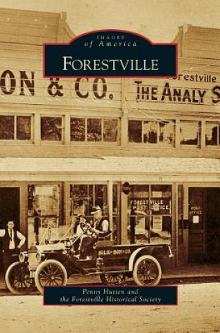 Buch Forestville Penny Hutten