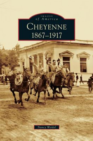 Kniha Cheyenne Nancy Weidel