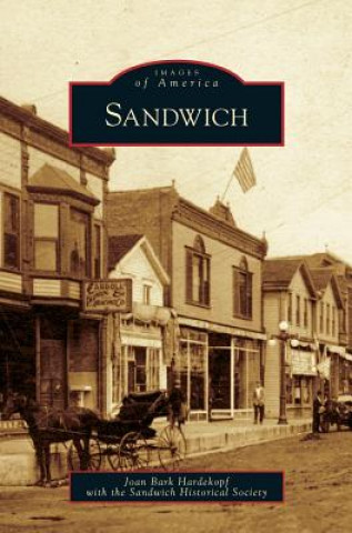 Kniha Sandwich Joan Bark Hardekopf