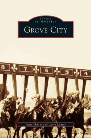 Könyv Grove City Janet Shailer