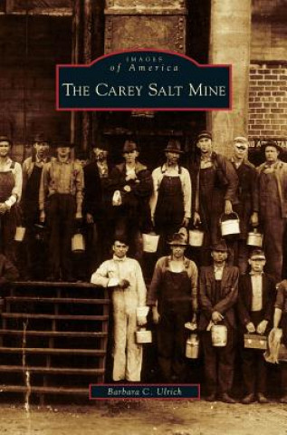 Kniha Carey Salt Mine Barbara C. Ulrich